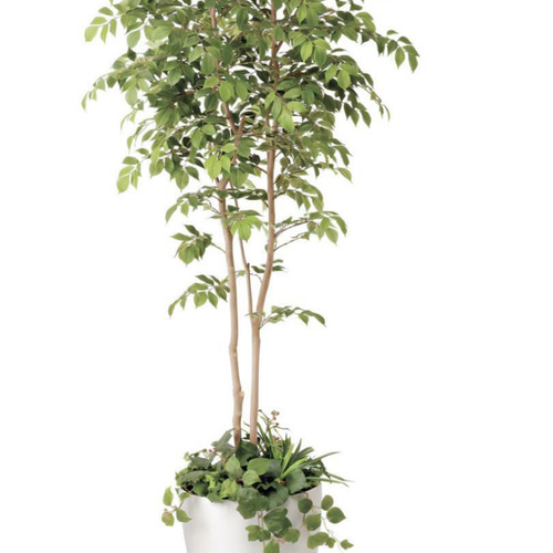 光触媒 人工観葉植物 ウォールグリーン マウンテンアッシュ1.8 植栽付