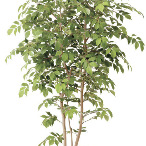 光触媒　人工観葉植物　ウォールグリーン　マウンテンアッシュ1.8 植栽付 光触媒 人工観葉植物 ウォールグリーン マウンテンアッシュ1.8 植栽付