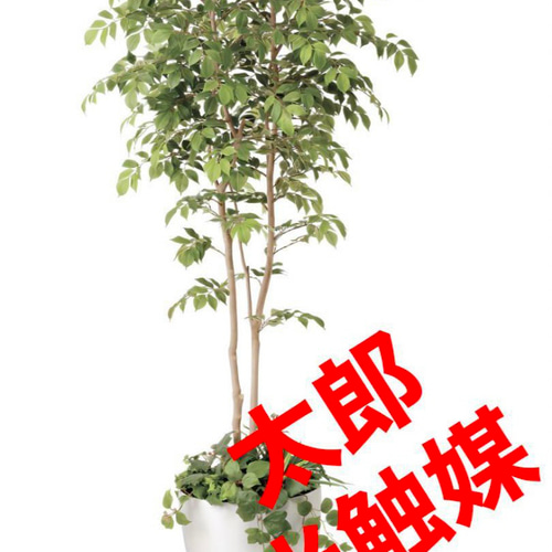 光触媒　人工観葉植物　ウォールグリーン　マウンテンアッシュ1.8 植栽付 光触媒 人工観葉植物 ウォールグリーン マウンテンアッシュ1.8 植栽付