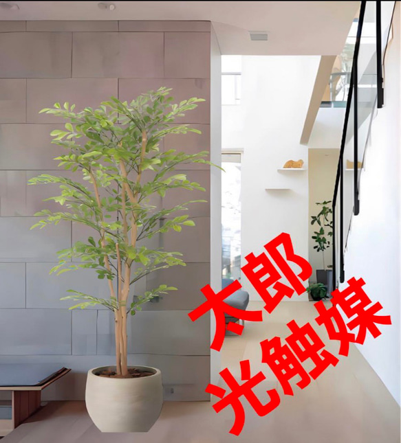 光触媒　人工観葉植物　フェイクグリーン　ナチュラルライトトネリコ1.1 光触媒 光の楽園ナチュラルトネリコ 1.8m【インテリア フェイク