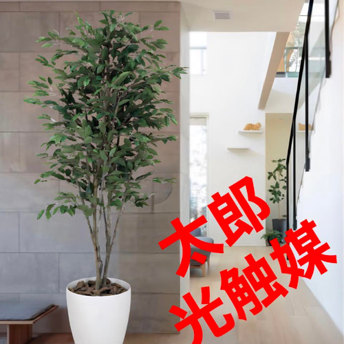 光触媒 人工観葉植物 フェイクグリーン ベンジャミンツリー 1.8m 