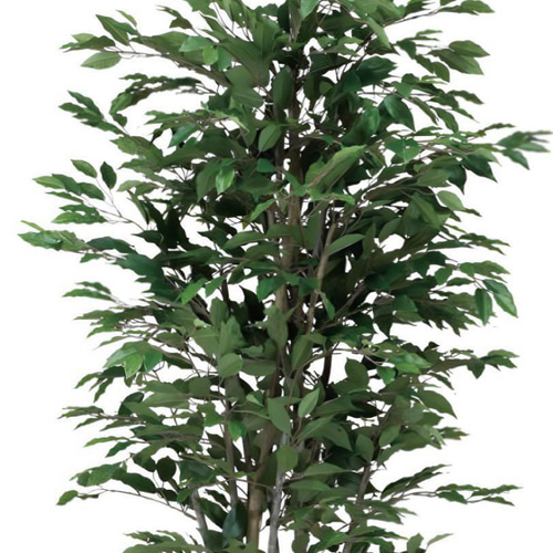 光触媒 人工観葉植物 フェイクグリーン ベンジャミンツリー 1.8m 