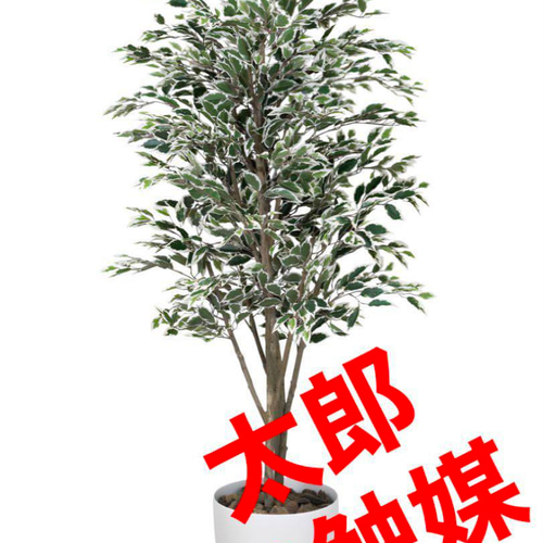 光触媒人工観葉植物フェイクグリーンベンジャミンツリー斑入リ 1.6m