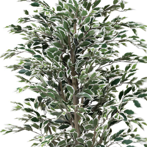 光触媒 人工観葉植物 フェイクグリーン ベンジャミンツリー斑入リ 1.6m 