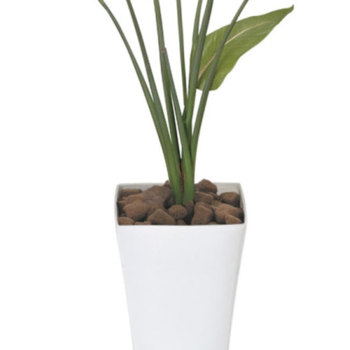 光触媒人工観葉植物ウォールグリーンフェイクグリーン ストレチア 1.1m