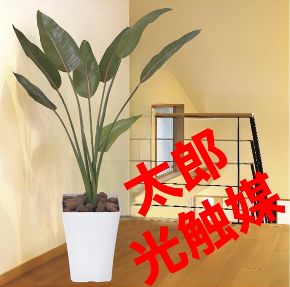 光触媒　人工観葉植物　ウォールグリーン　フェイクグリーン　ストレチア1.6 光触媒 人工観葉植物 ウォールグリーン フェイクグリーン ストレリチア