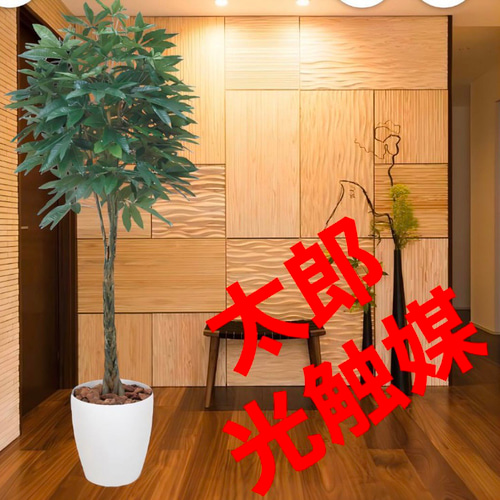 光触媒　人工観葉植物　ウォールグリーン　フェイクグリーン　ショウナンゴム 光触媒 人工観葉植物 ウォールグリーン フェイクグリーン