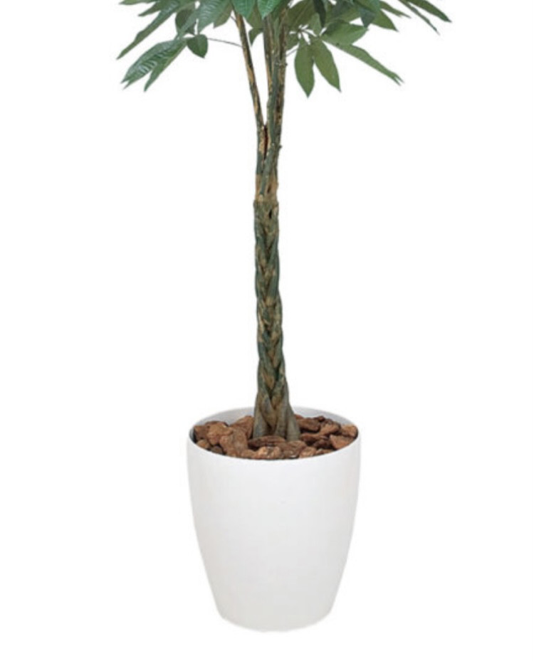 光触媒人工観葉植物ウォールグリーンフェイクグリーンクロモジ1.2m