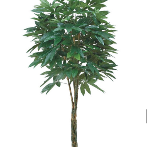 光触媒 人工観葉植物 ウォールグリーン フェイクグリーン パキラ2.0gp 