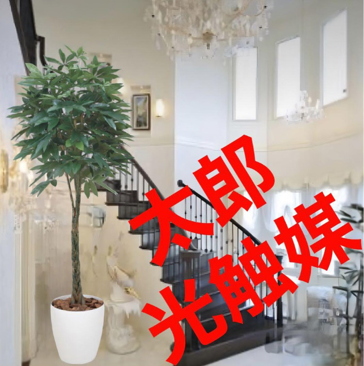 光触媒 人工観葉植物 ウォールグリーン フェイクグリーン アセビ215