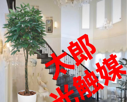 光触媒 人工観葉植物 ウォールグリーン フェイクグリーン パキラ2.0gp 