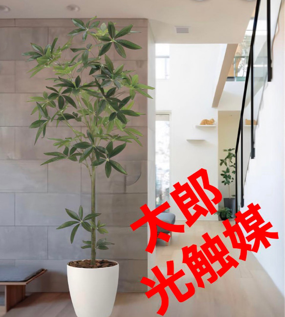 光の楽園 光触媒 人工観葉植物 ウォールグリーン フェイクグリーン 