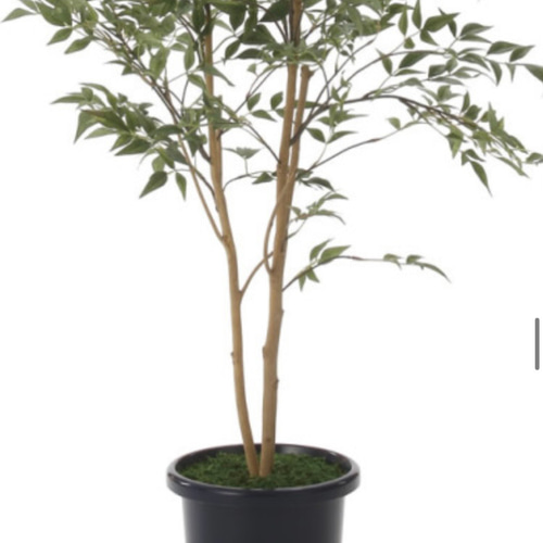 光触媒 人工観葉植物 ウォールグリーン フェイクグリーン 南天