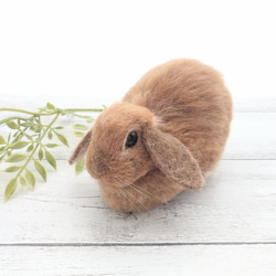 うさぎさん専用 Amazon.co.jp: パイロット メルちゃん きせかえセット うさぎさん