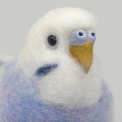本トリ No.112 セキセイインコ ライラック / 羊毛フェルト リアル