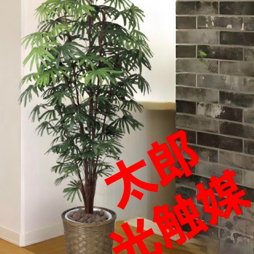 光触媒　人工観葉植物　ウォールグリーン　フェイクグリーン　青竹1.8 光触媒 人工観葉植物 ウォールグリーン フェイクグリーン 青竹1.8