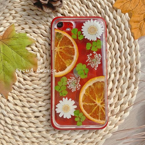 #111 iPhonecase ドライフルーツ•*¨*•.¸¸♪✧ 楽天市場】ドライフルーツ ケース（ケース・カバー