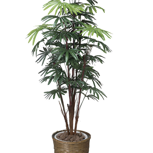 光触媒 人工観葉植物 ウォールグリーン フェイクグリーン シュロチク 