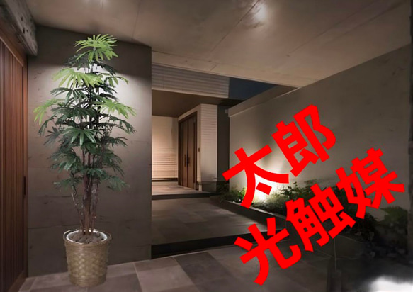 光触媒人工観葉植物ウォールグリーンフェイクグリーンシュロチク180