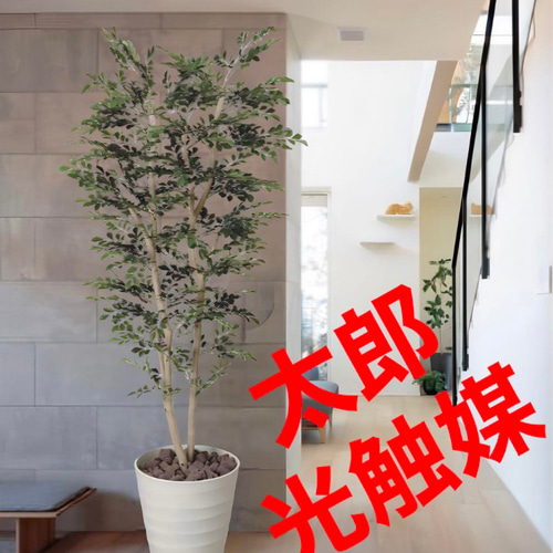 光触媒 人工観葉植物 人工観葉植物 フェイクグリーン トネリコ1.8 