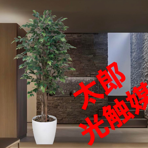 光触媒人工観葉植物ウォールグリーンフェイクグリーンベンジャミン1.6