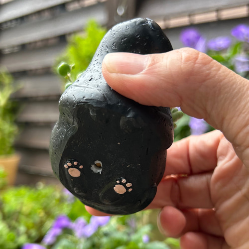 猫ちゃん 多肉植物寄せ植え 2匹セット 多肉植物 Jam Osaka 通販