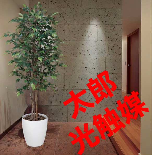 光触媒　人工観葉植物　フェイクグリーン　ロイヤルベンジャミン1.8 光触媒 人工観葉植物 フェイクグリーン ロイヤルベンジャミン1.8