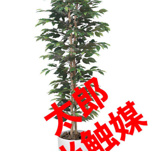 光触媒 人工観葉植物 フェイクグリーン ベンジャミンスリム1.6m その他  
