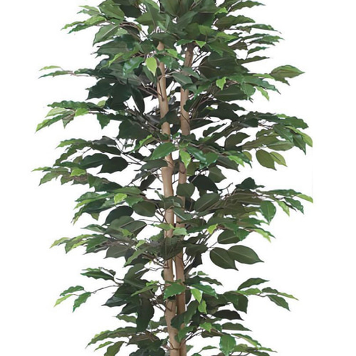 光触媒 人工観葉植物 フェイクグリーン ベンジャミンスリム1.6m その他  