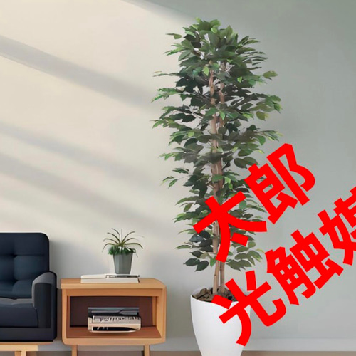 光触媒 人工観葉植物 フェイクグリーン ベンジャミンスリム1.6m その他  