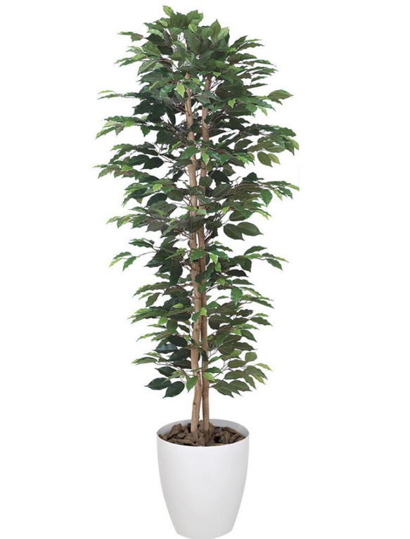 光触媒　人工観葉植物　フェイクグリーン　ベンジャミンスリム1.6m 
