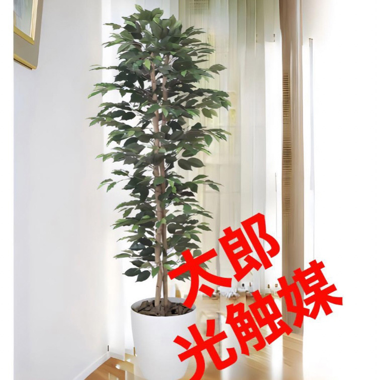 光触媒　人工観葉植物　フェイクグリーン　ベンジャミンスリム 1.8m