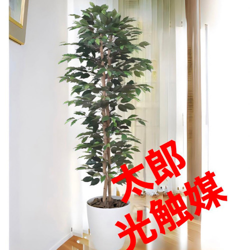 光触媒　人工観葉植物　ウォールグリーン　フェイクグリーン　ベンジャミン240 光触媒 人工観葉植物 ウォールグリーン フェイクグリーン