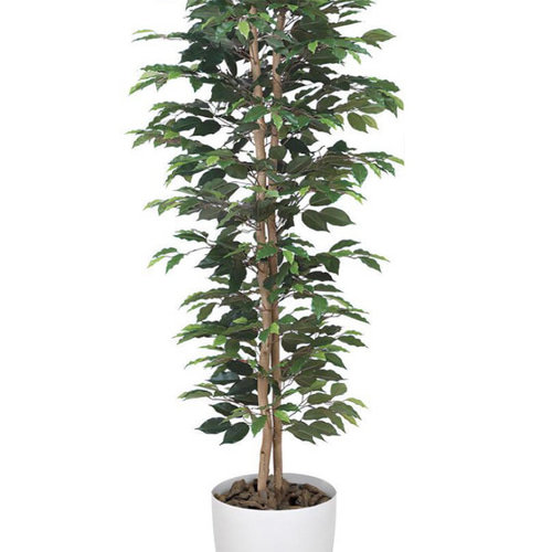 光触媒　人工観葉植物　ウォールグリーン　フェイクグリーン　ベンジャミンスリム15 光触媒人工観葉植物ウォールグリーンフェイクグリーン