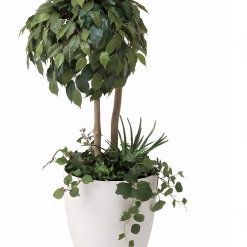 光触媒 人工観葉植物 フェイクグリーン ベンジャミンダブルフェイス1.8