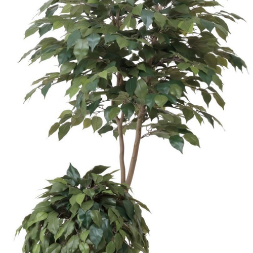 光触媒 人工観葉植物 フェイクグリーン ベンジャミンダブルフェイス1.8