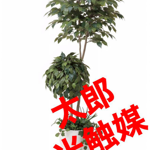 光触媒 人工観葉植物 フェイクグリーン ベンジャミンダブルフェイス1.8