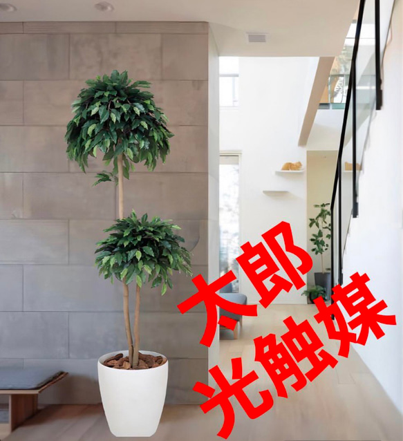 光触媒人工観葉植物フェイクグリーンデザインベンジャミン1.8
