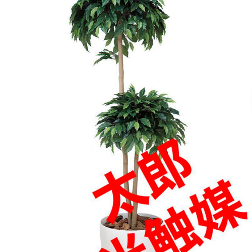 光触媒 人工観葉植物 フェイクグリーン ベンジャミンダブル 1.8m 