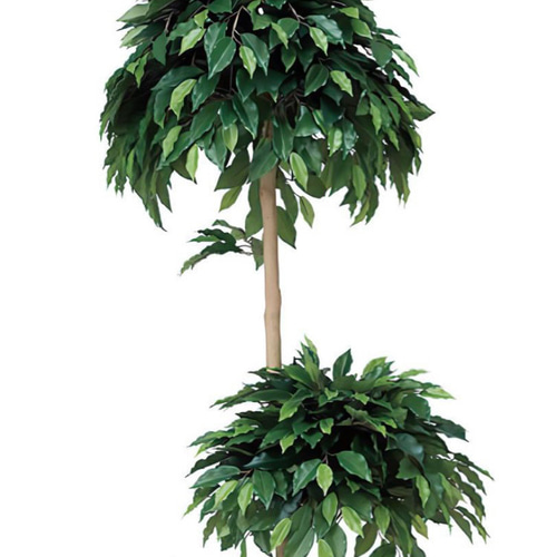 光触媒 人工観葉植物 フェイクグリーン ベンジャミンダブル 1.8m