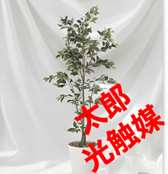 光触媒　人工観葉植物　ウォールグリーン　フェイクグリーン　フィカスツリー1.8m 光触媒 人工観葉植物 ウォールグリーン フェイクグリーン フィカス