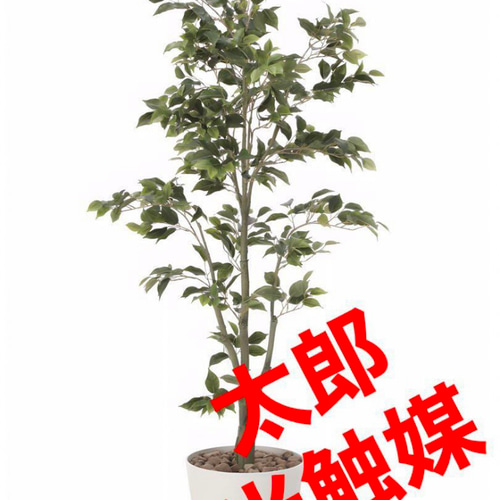 光触媒 人工観葉植物 ウォールグリーン フェイクグリーン フィカス