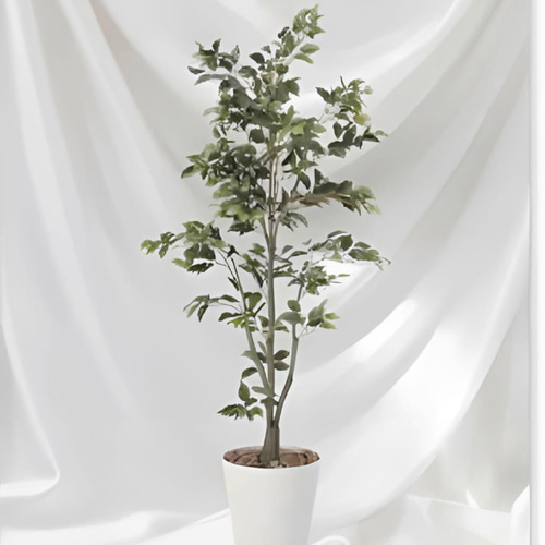 光触媒 人工観葉植物 ウォールグリーン フェイクグリーン フィカス