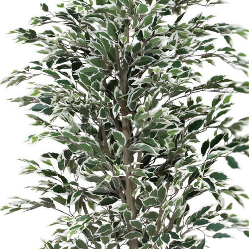 光触媒 人工観葉植物 フェイクグリーン ベンジャミンツリー斑入リ 1.8m 