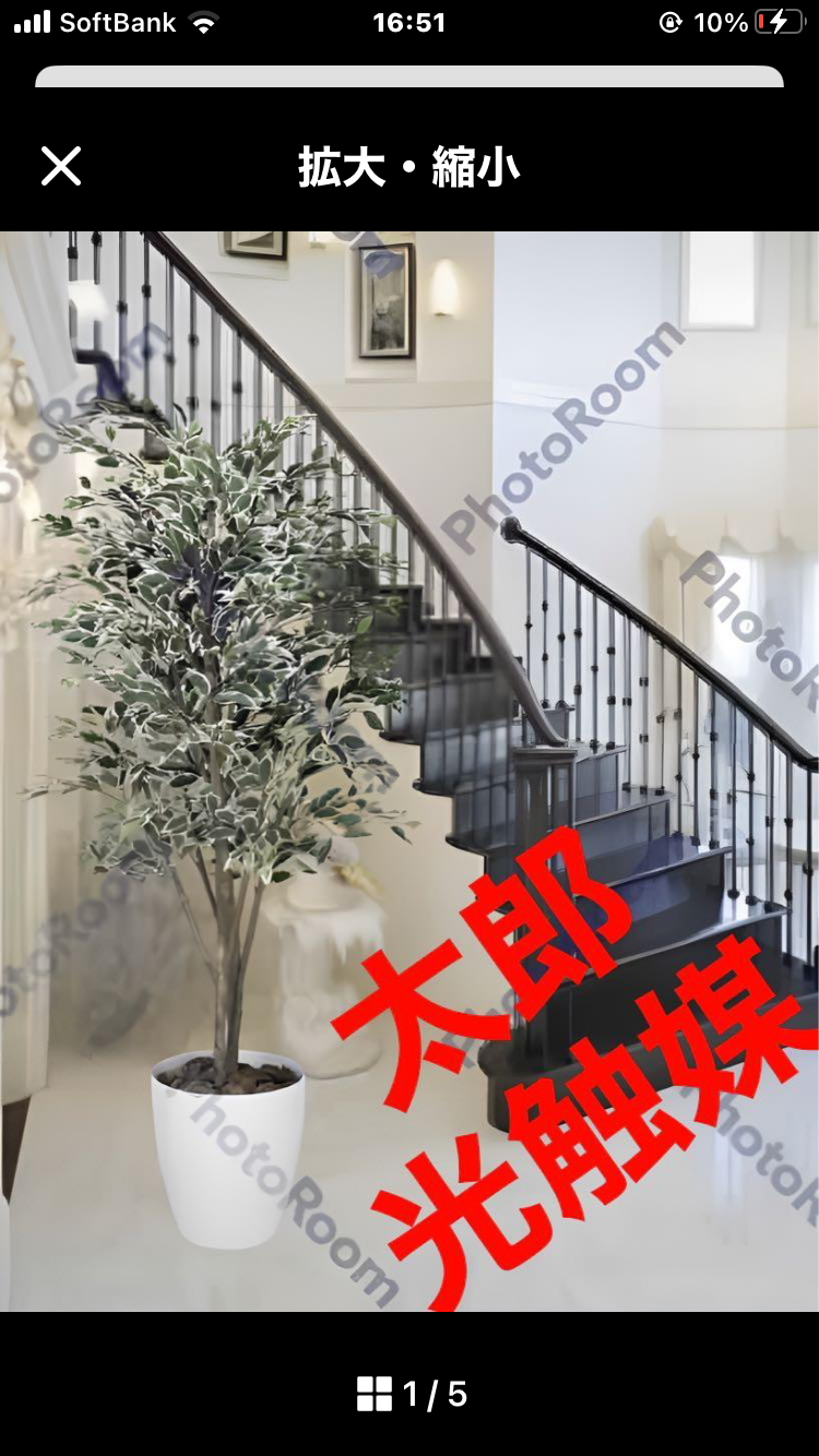 光触媒　人工観葉植物　フェイクグリーン　ベンジャミンツリー斑入リ 1.8m