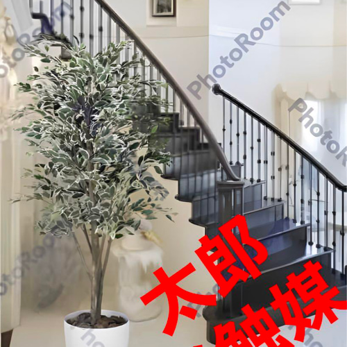 光触媒 光の楽園 アーバンベンジャミン1.8m【インテリア フェイク