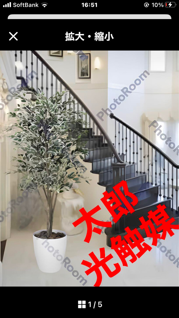 光触媒 人工観葉植物 フェイクグリーン ベンジャミンツリー斑入