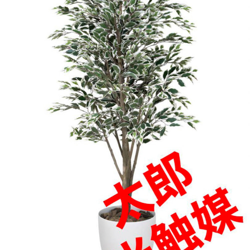 光触媒 人工観葉植物 フェイクグリーン ベンジャミンツリー斑入リ 1.8m 
