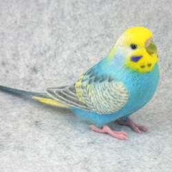 羊毛フェルト　ハンドメイド　ドアからワカケホンセイインコ 羊毛フェルト ハンドメイド ドアからワカケホンセイインコ