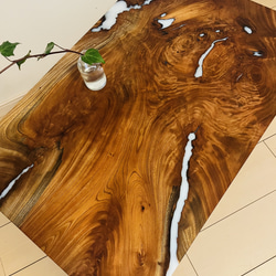 スツール 栃の木 レジン チェア 観葉植物 椅子（チェアー）・スツール